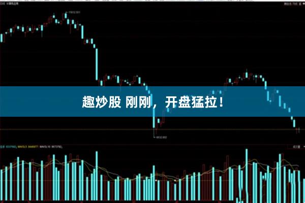 趣炒股 刚刚，开盘猛拉！
