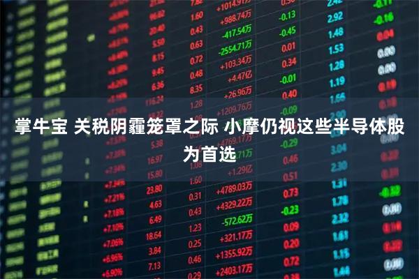 掌牛宝 关税阴霾笼罩之际 小摩仍视这些半导体股为首选