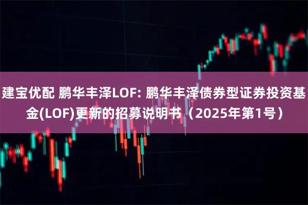 建宝优配 鹏华丰泽LOF: 鹏华丰泽债券型证券投资基金(LOF)更新的招募说明书（2025年第1号）
