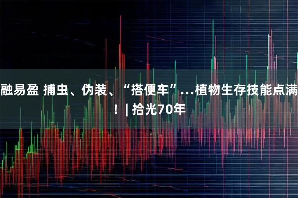 融易盈 捕虫、伪装、“搭便车”…植物生存技能点满！| 拾光70年